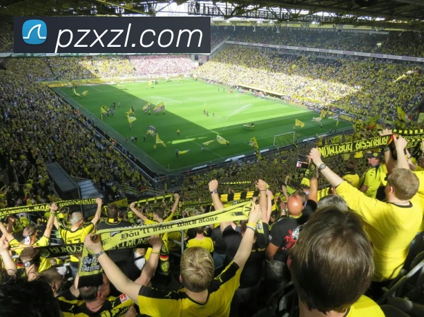 多媒体互动体验